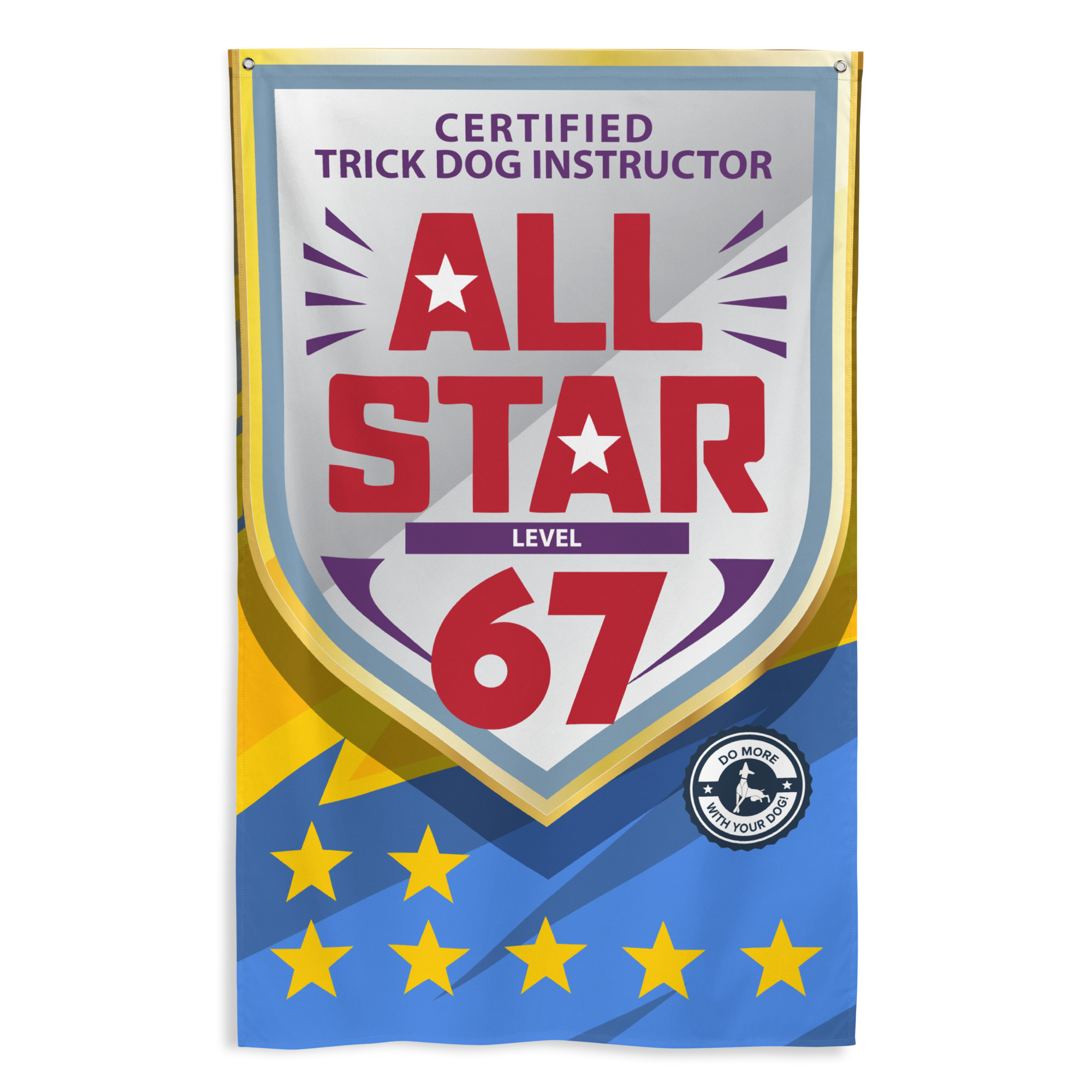 CTDI All-Star 67x