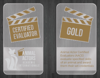 AACE [Gold]