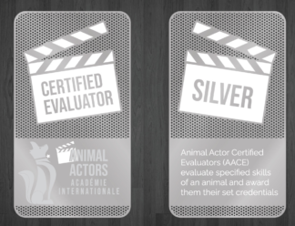 AACE [Silver]