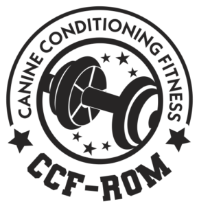 CCF-ROM-Button