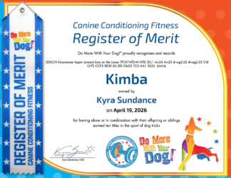 CCF-ROM Certificate & Ribbon