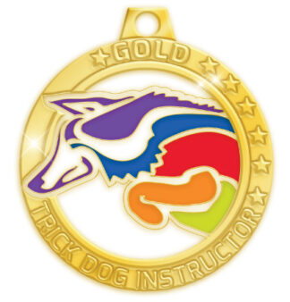 CTDI [Gold]
