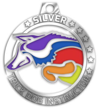 CTDI [Silver]
