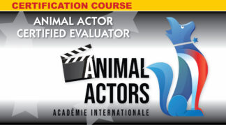 AACE Certification Master Class